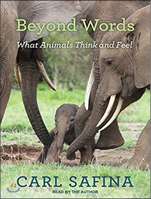 Beyond Words: What Animals Think and Feel