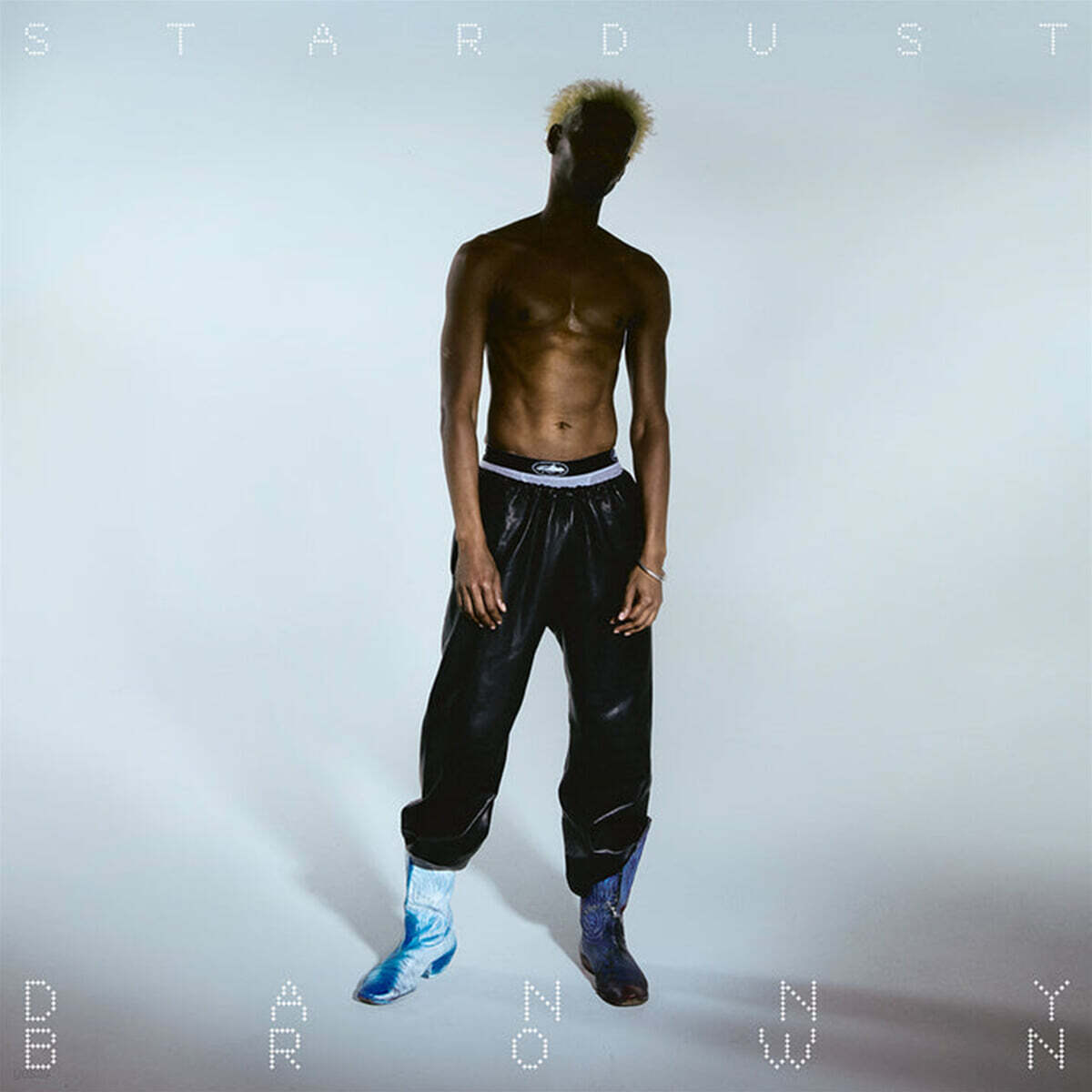 Danny Brown (대니 브라운) - Stardust