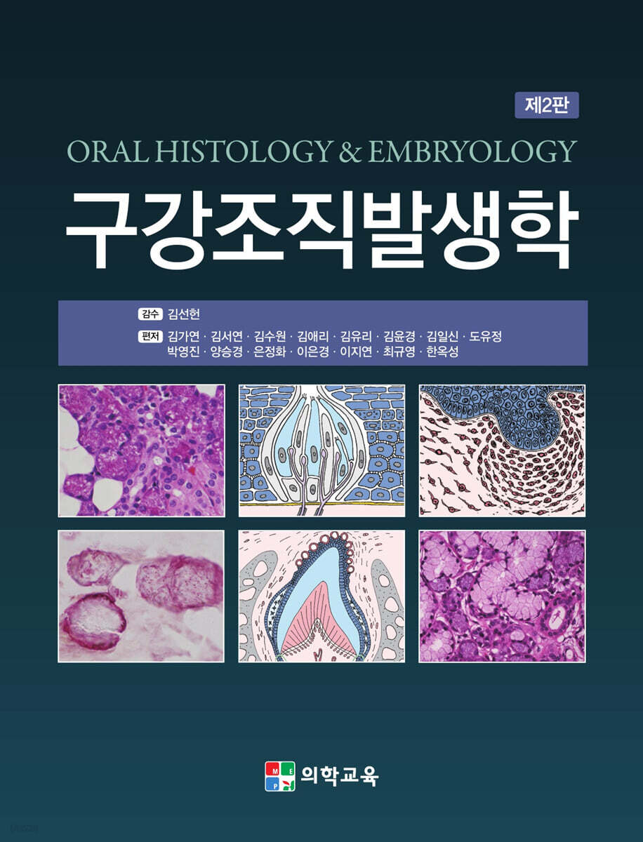 구강조직발생학