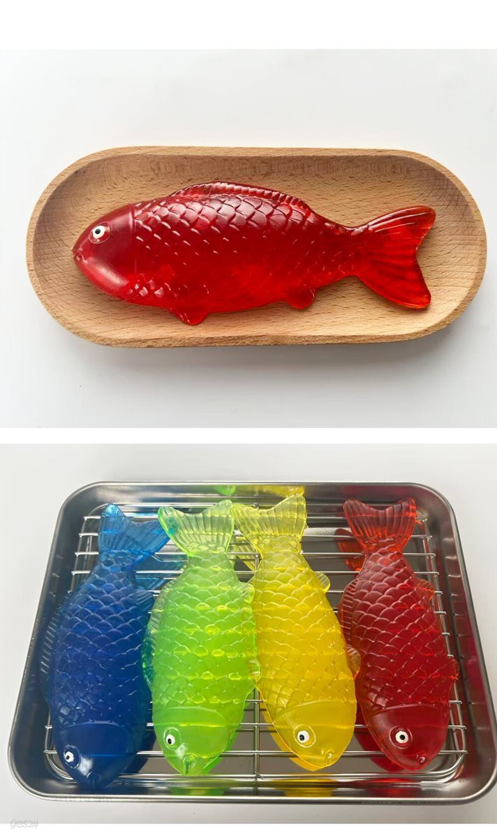 물고기 말랑이
