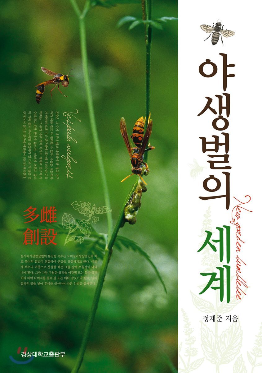 [대여] 야생벌의 세계