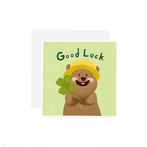 미니카드 MCYA2602 - QUOKKA GOOD LUCK 캘리그라피카드