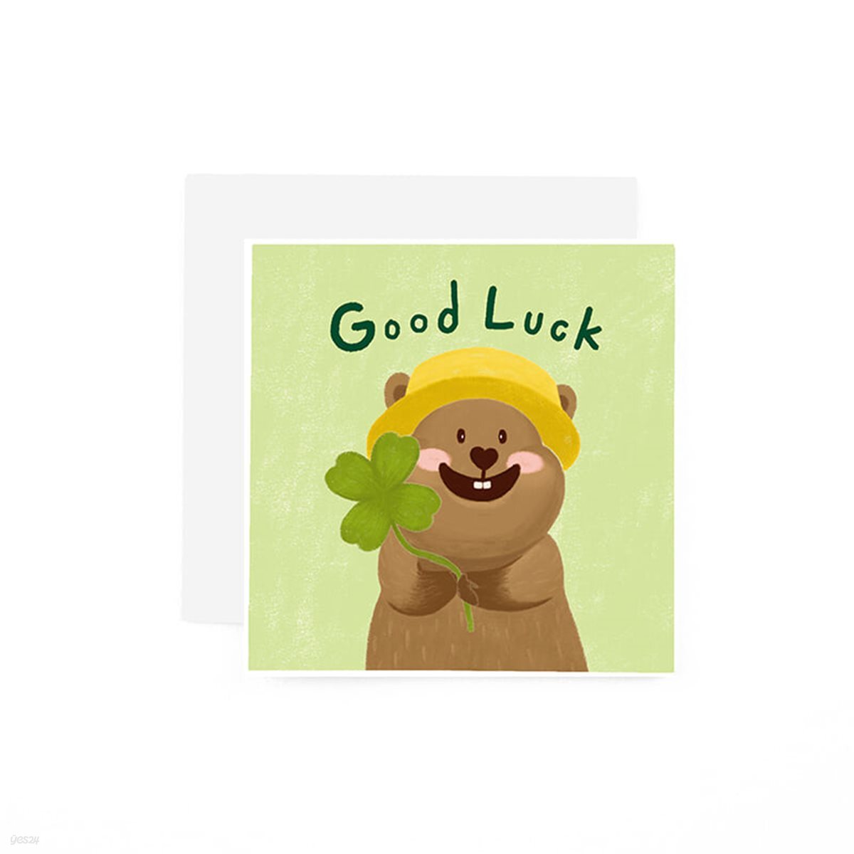 미니카드 MCYA2602 - QUOKKA GOOD LUCK 캘리그라피카드