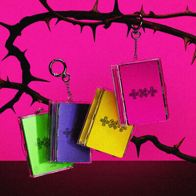 투모로우바이투게더 (TXT) - 7TH YEAR: 가시덤불에 잠시 바람이 멈췄을 때 [Photocard Case Ver.][4종 SET]