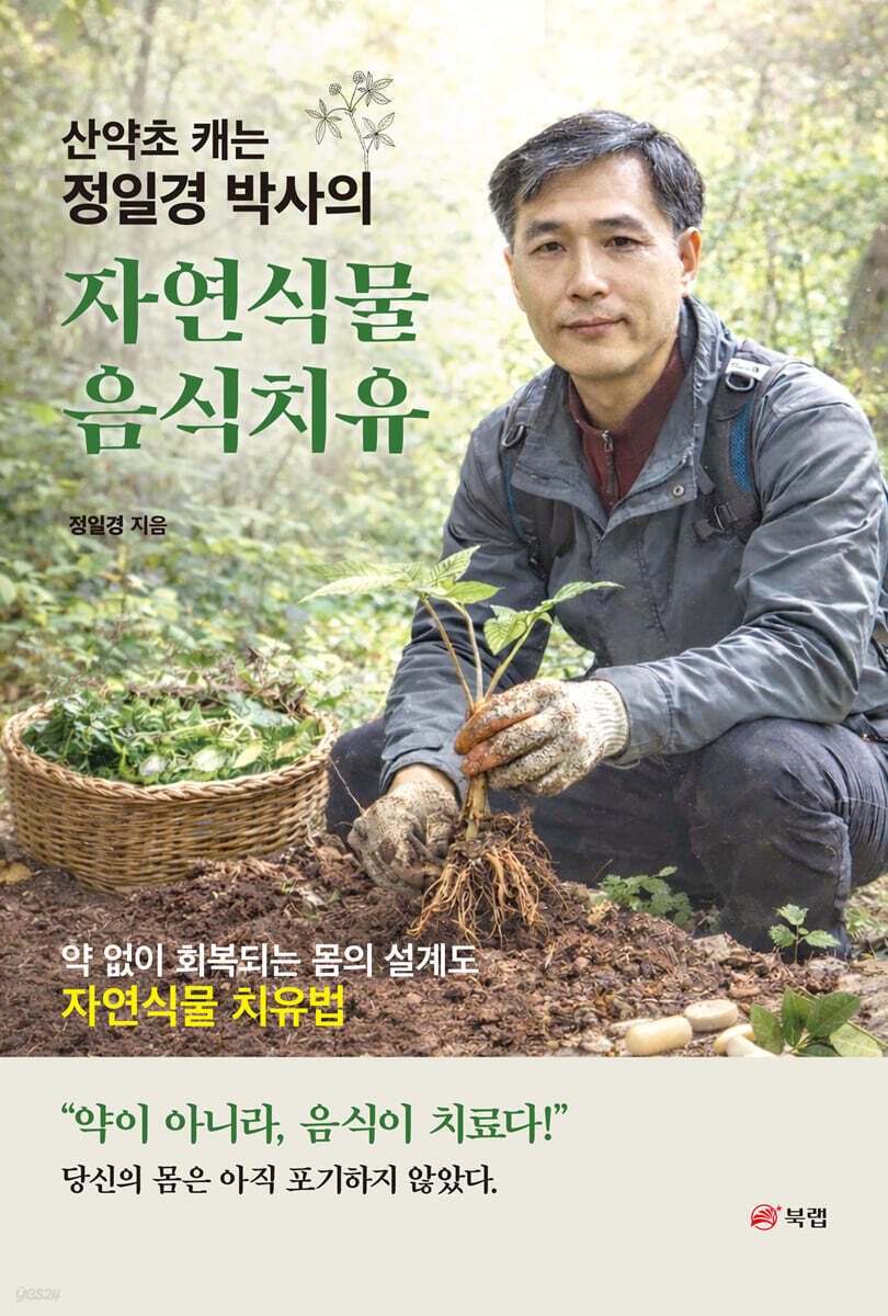 산약초 캐는 정일경 박사의 자연식물 음식치유