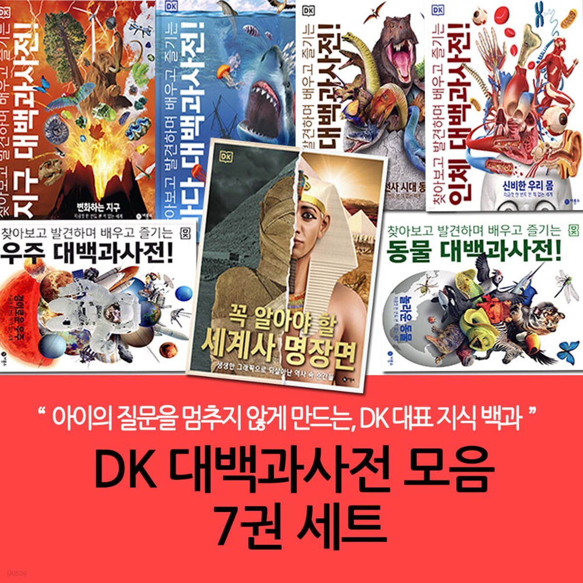 DK 대백과사전 모음 7권세트