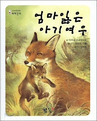 엄마잃은 아기여우
