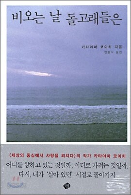 비오는 날 돌고래들은