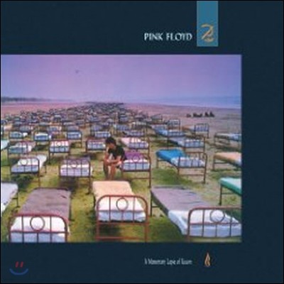 [߰] Pink Floyd / A Momentary Lapse Of Reason