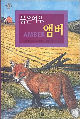 붉은 여우, 앰버