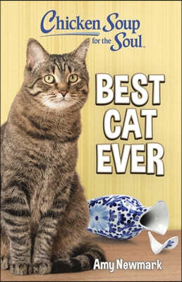 Chicken Soup for the Soul: Best Cat Ever
