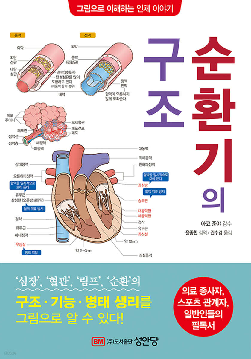 [대여] 순환기의 구조