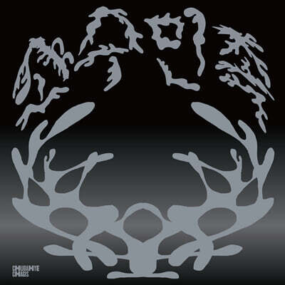 추다혜차지스 - 소수민족 [화이트 블랙 마블 컬러 LP]