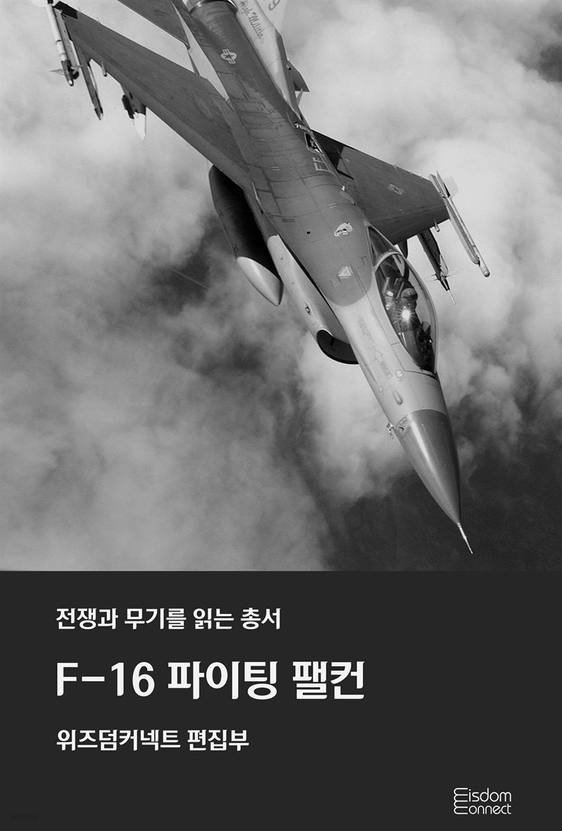 F-16 파이팅 팰컨