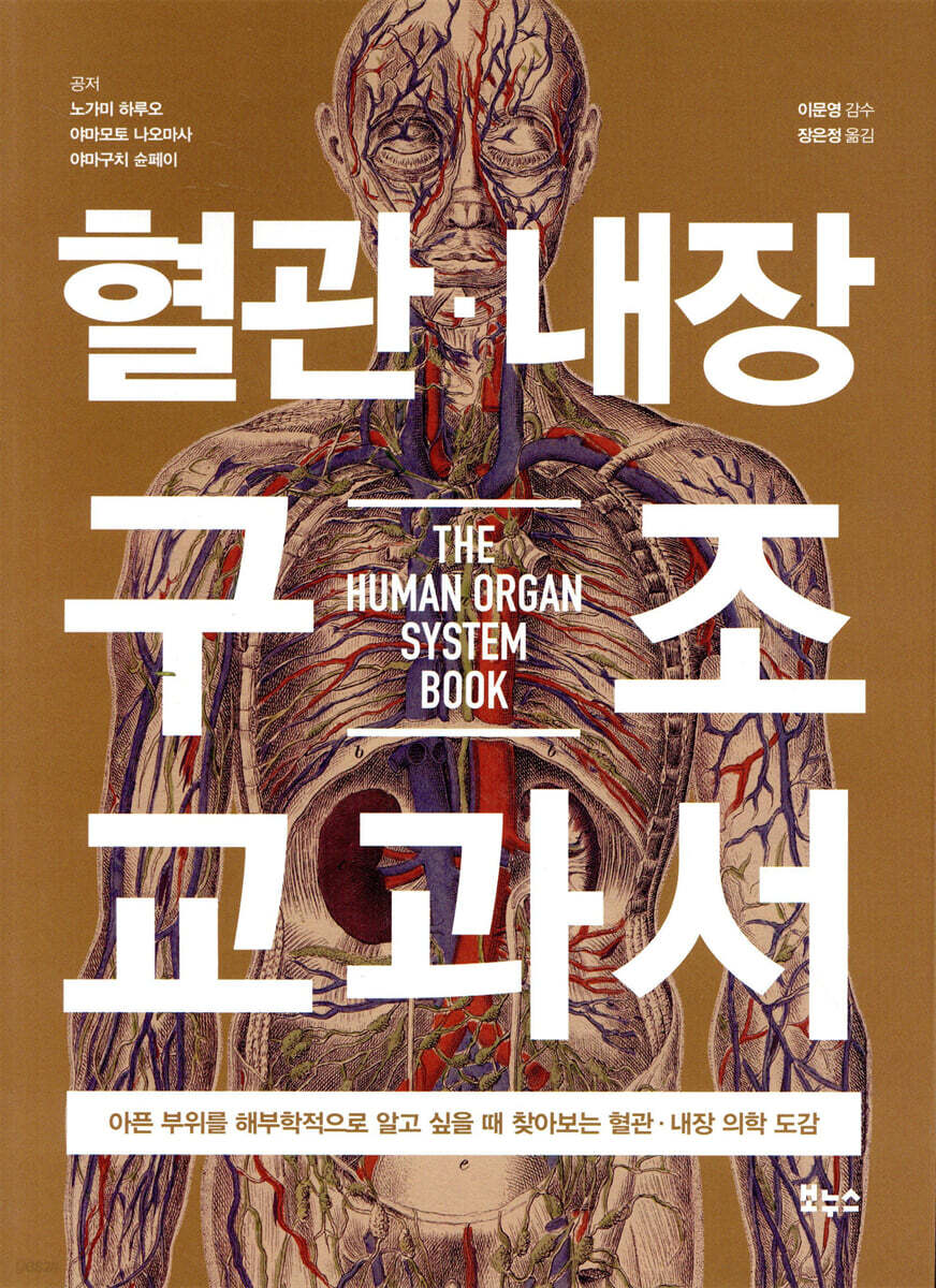 혈관 내장 구조 교과서