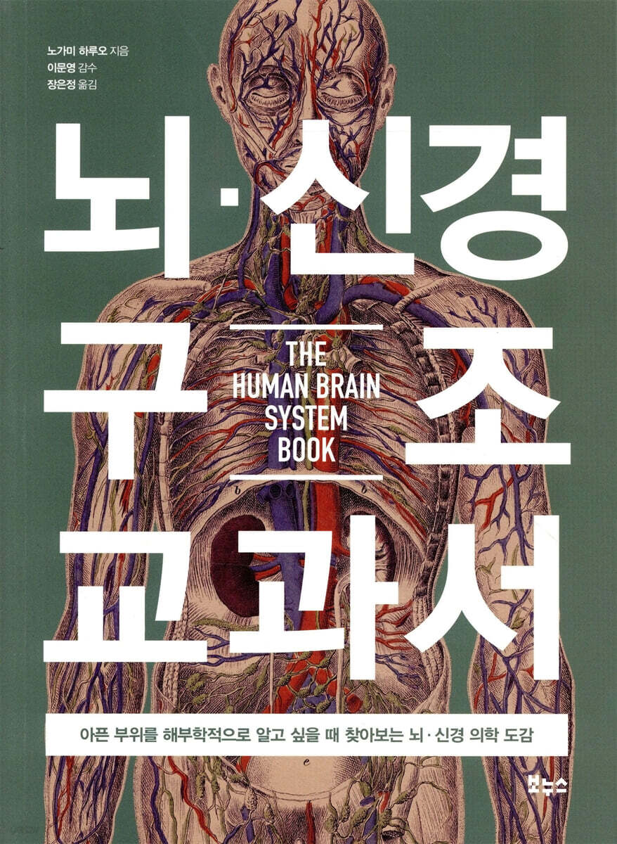 뇌·신경 구조 교과서