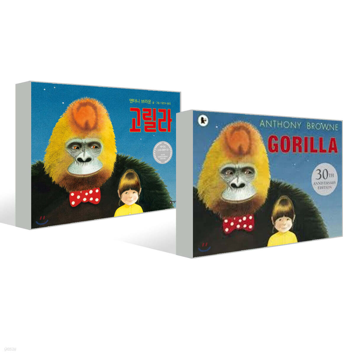 고릴라 + Gorilla