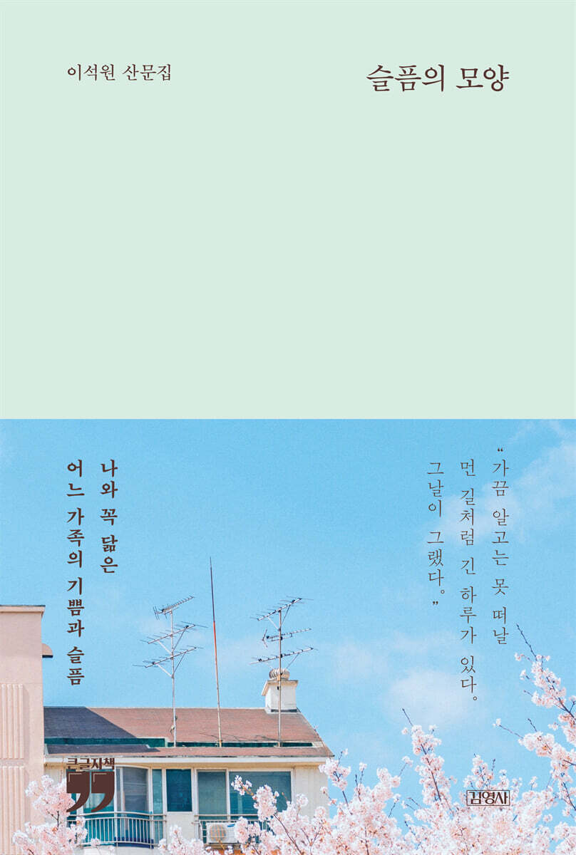 슬픔의 모양 (큰글자책)