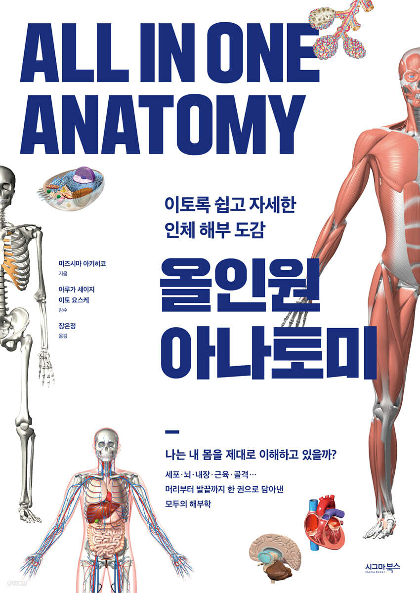 올인원 아나토미