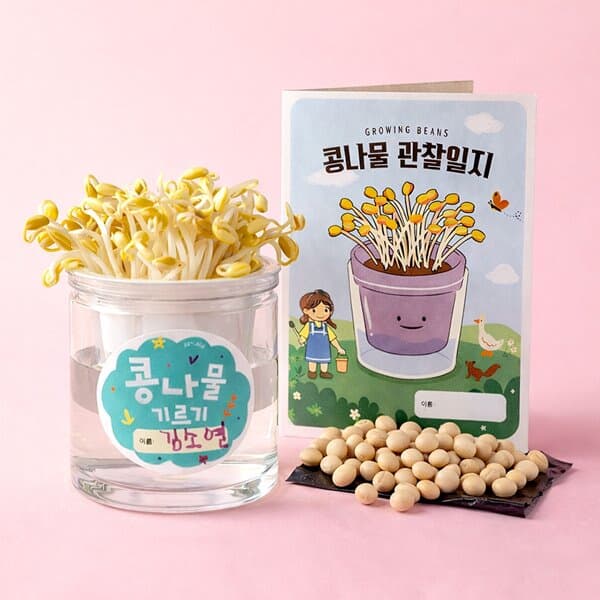 아트랄라 콩나물 숙주 기르기 키트 식물키우기 녹두