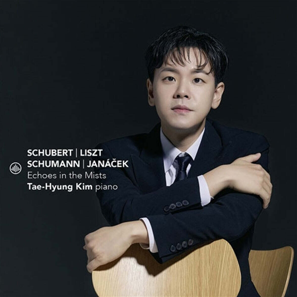 김태형 (Tae-Hyung Kim) - 안개 속의 메아리 (Echoes in the Mists)