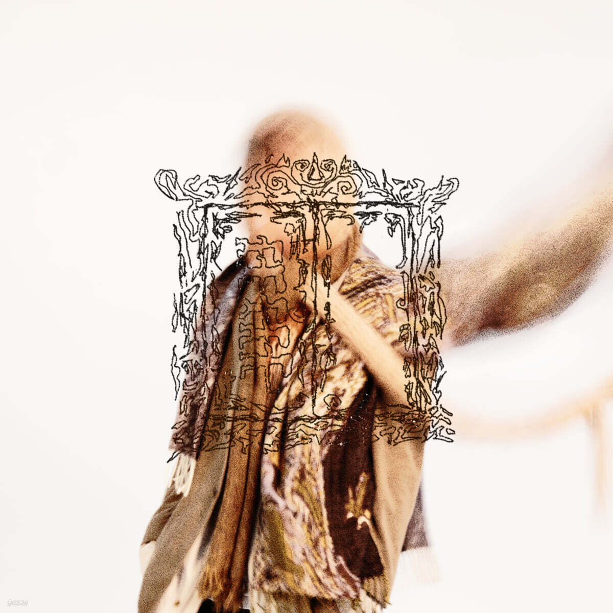 신지항 (shinjihang) - NONG