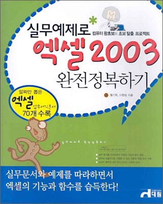 실무예제로 엑셀2003 완전 정복하기