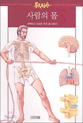 사람의 몸
