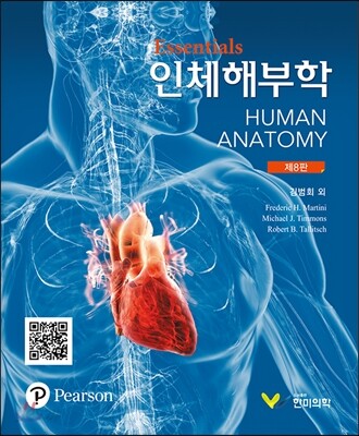 Essentials 인체해부학