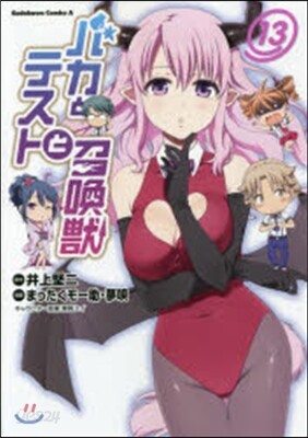 バカとテストと召喚獸 13