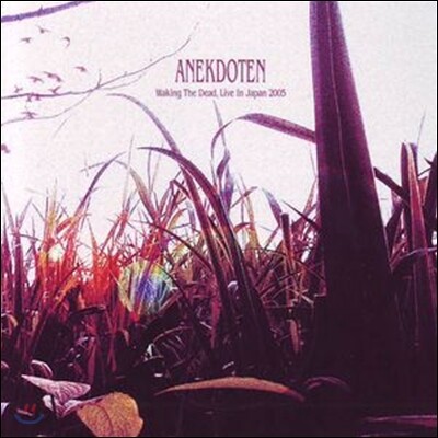 Anekdoten (아넥도텐) - Waking The Dead: Live In Japan 2005 [2 LP]
