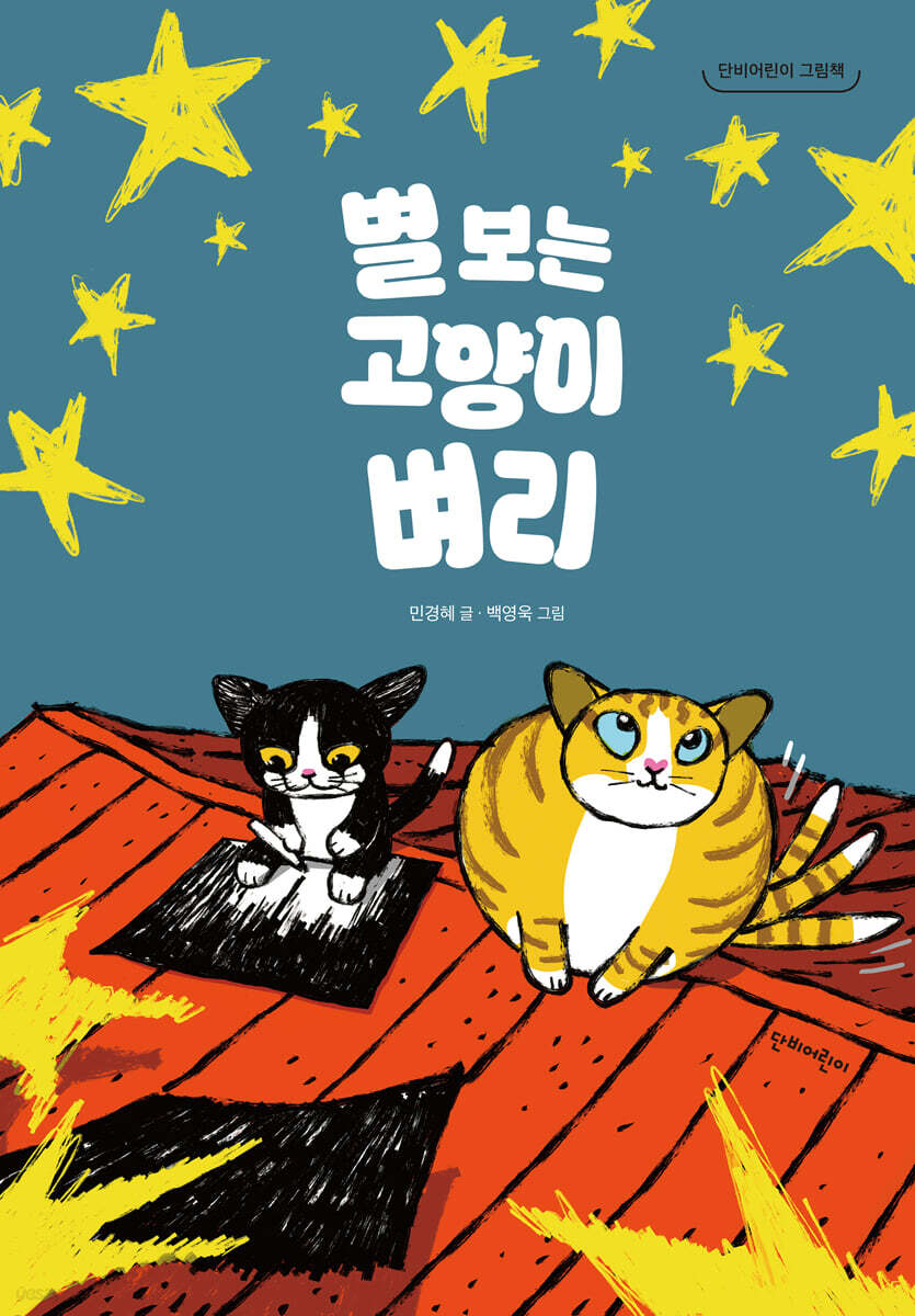 별 보는 고양이 벼리