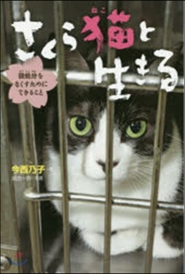 さくら猫と生きる 殺處分をなくすためにで
