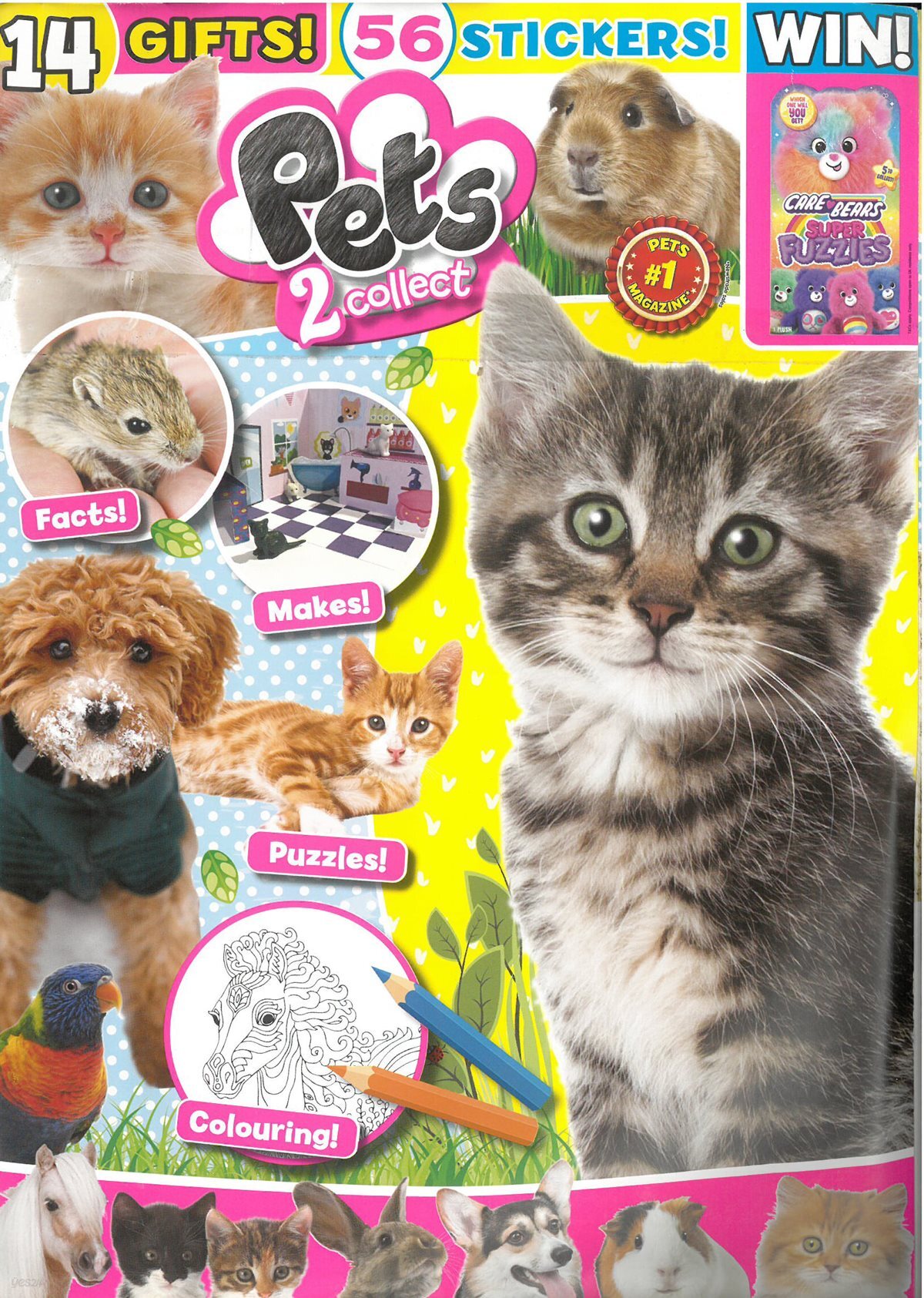 PETS 2 COLLECT   (월간) : 2026년 no.155