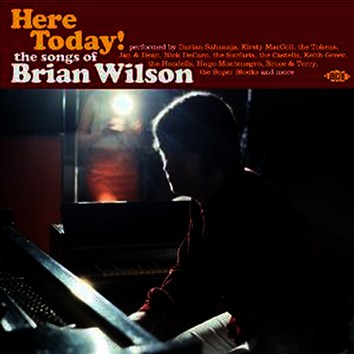 Various Artists - Here Today! (CD)