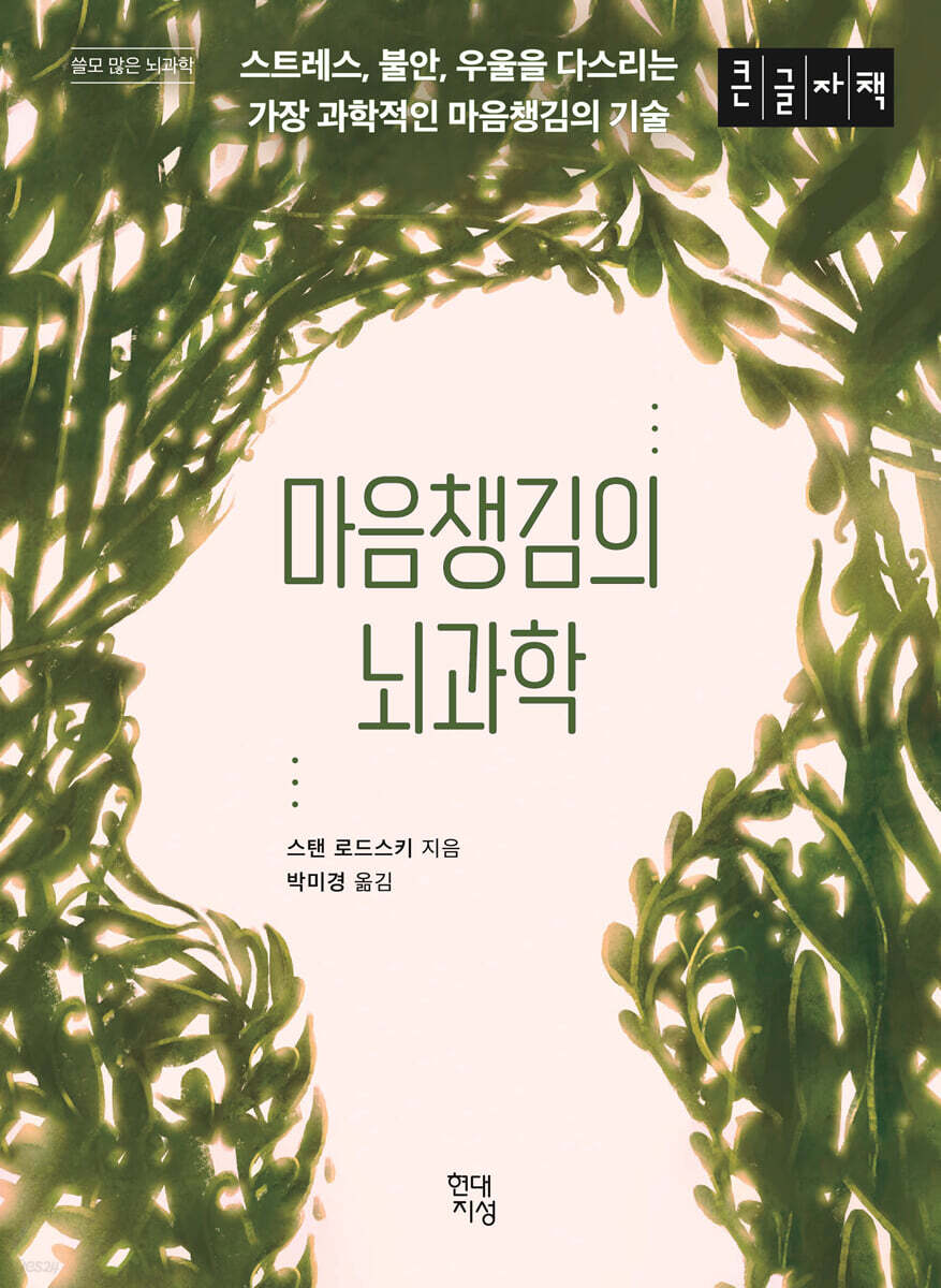 마음챙김의 뇌과학 (큰글자책)