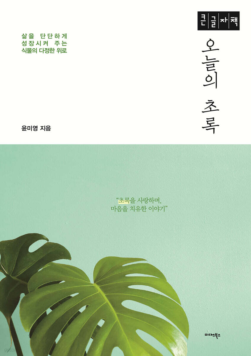 오늘의 초록 (큰글자책)