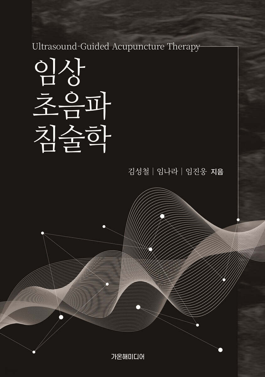 임상 초음파 침술학