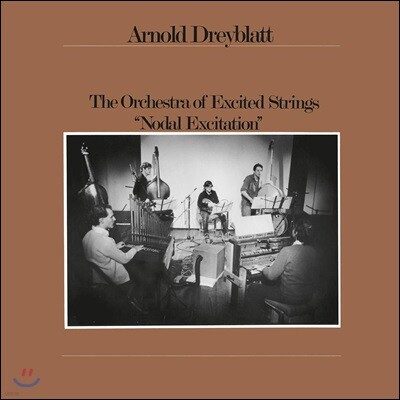 Arnold Dreyblatt — Nodal Excitation 앨범 커버