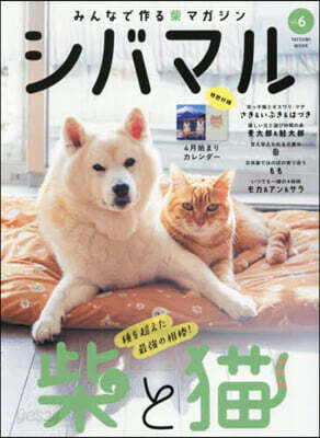 シバマル 6