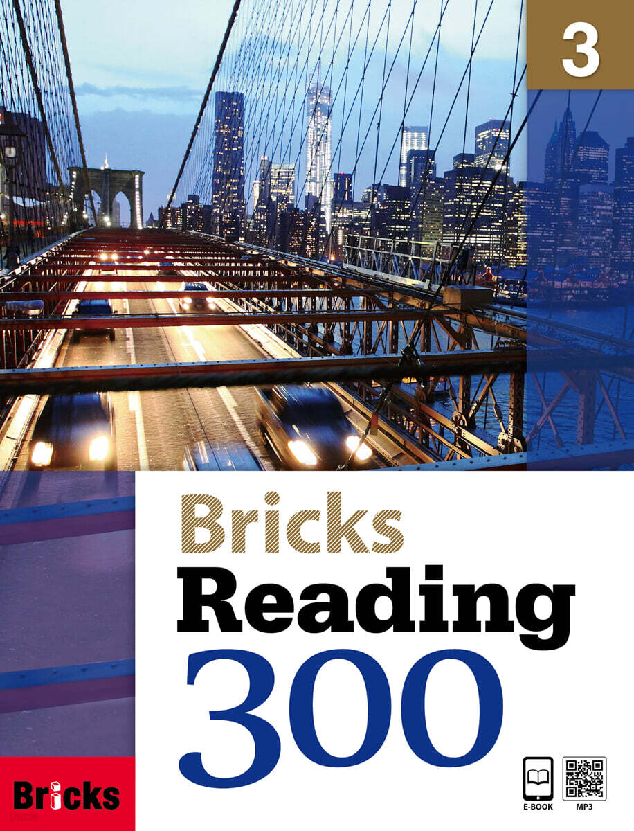 Bricks Reading 300 3