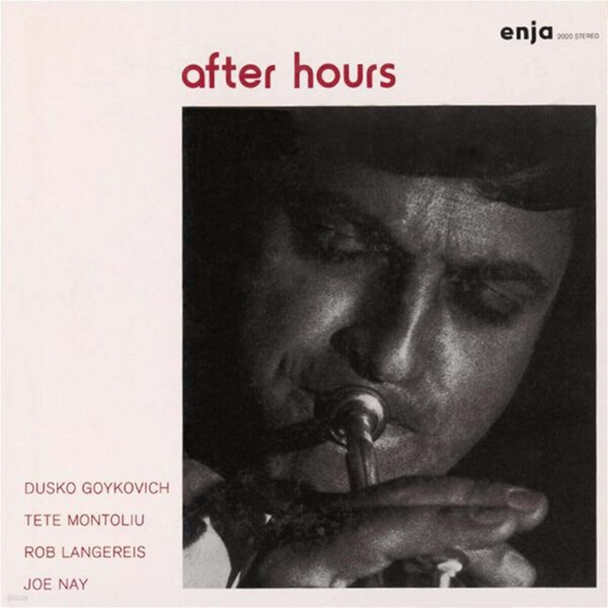 Dusko Goykovich (두스코 고이코비치) - After Hours