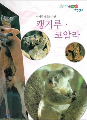 아기주머니를 가진 캥거루 코알라 