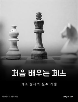 처음 배우는 체스: 기초 원리와 필수 개념