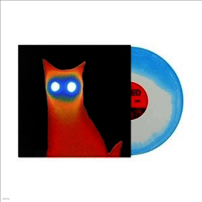 Basement — Wired (US Indie Exclusive) 앨범 커버