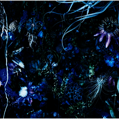 Sugizo — Oneness M 앨범 커버