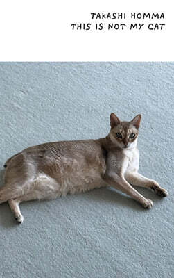 This Is Not My Cat