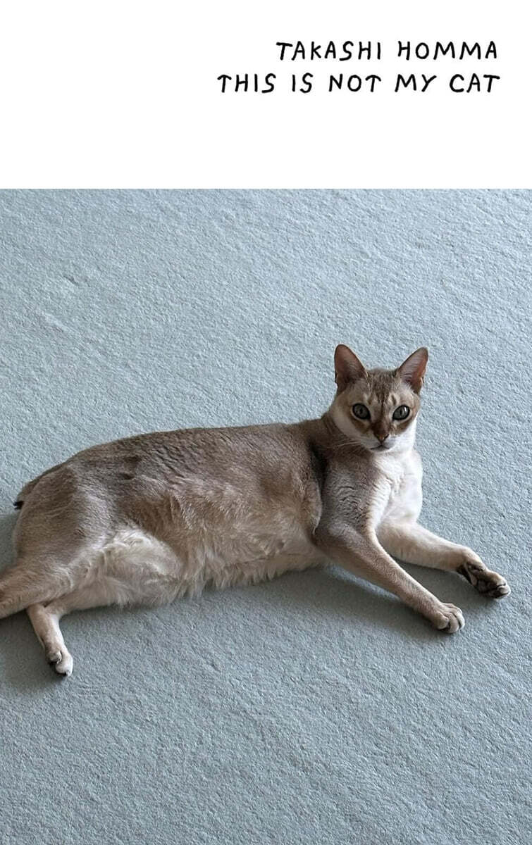 This Is Not My Cat