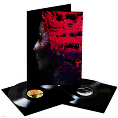 Steven Wilson — Hand Cannot Erase (Free MP3 Download) 앨범 커버