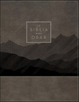 Vida Publishers Rvr60, La Biblia Para Orar, Leathersoft, Gris, Palabras de Jesus En Rojo, Comfort Print: Ora La Palabra de Dios de Principio a Fin